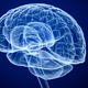 Illustration for article titled This Brain Decoder Can Read the Words of Your Inner Monologue